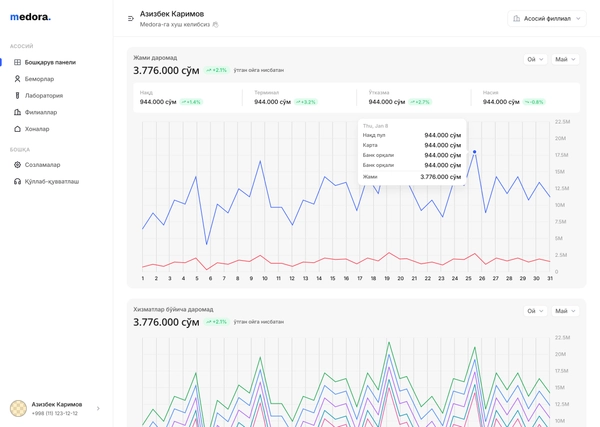 Medora dashboard