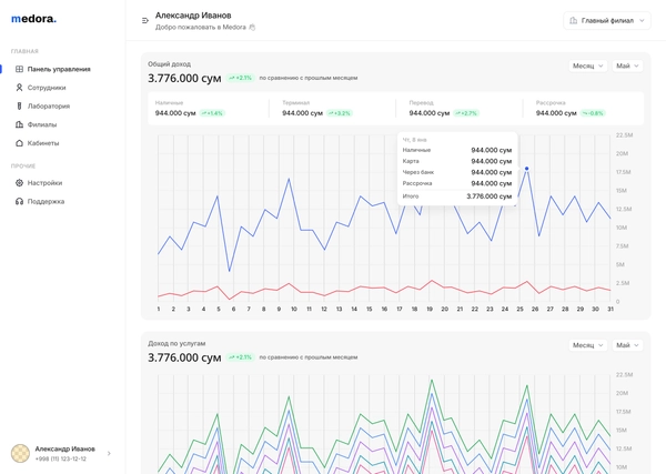 Medora dashboard